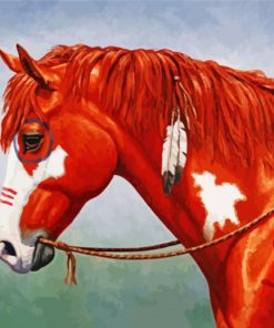 Native American Horse Paint By Number