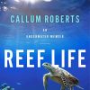 Reef Life Poster Paint By Number