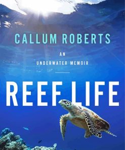 Reef Life Poster Paint By Number