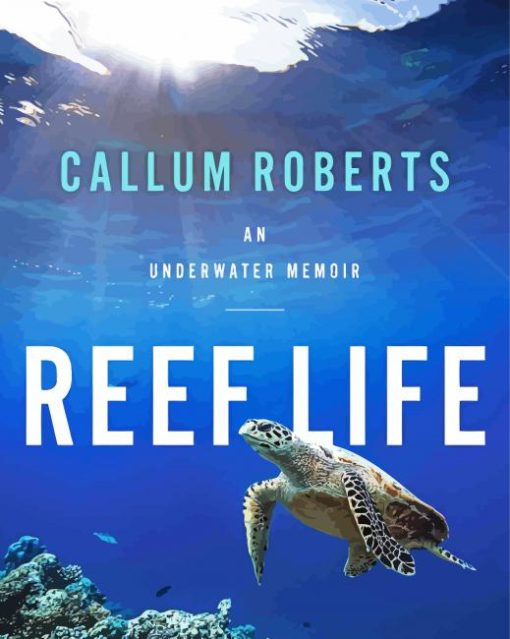 Reef Life Poster Paint By Number