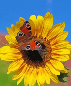 Sunflower With Butterfly Paint By Number