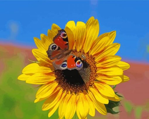 Sunflower With Butterfly Paint By Number