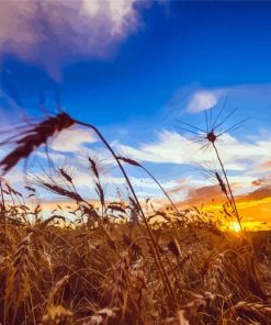 Harvest Landscape Paint By Number