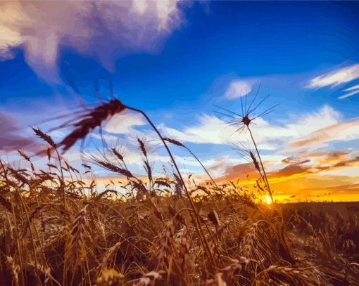 Harvest Landscape Paint By Number