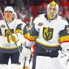 Vegas Golden Knight Players Paint By Number