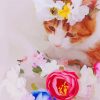 Flowering Cat Crown Paint By Number