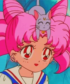 Chibiusa Anime Character Paint By Number