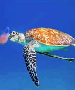 Turtle Eating Jellyfish Paint By Number