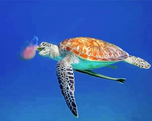 Turtle Eating Jellyfish Paint By Number