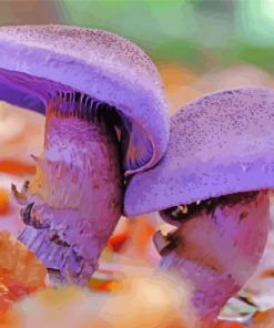 Two Purple Mushroom Paint By Number