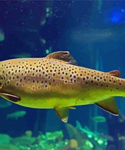 Aesthetic Brown Trout Paint By Number