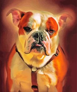 American Bulldog Paint By Number