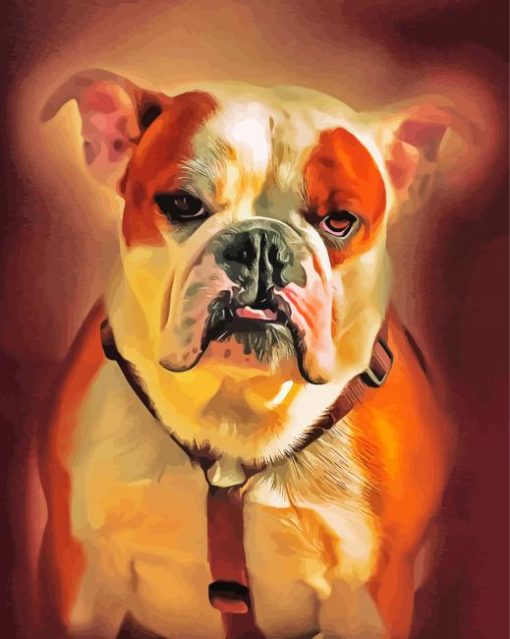 American Bulldog Paint By Number