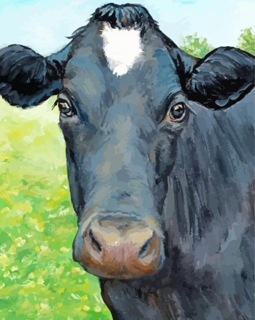 Black Cow Paint By Number