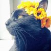 Black Cats And Yellow Flowers Paint By Number