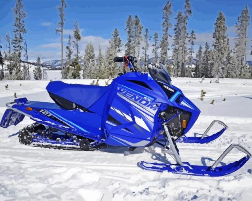 Blue Snowmobile Paint By Number