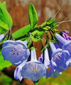 Bluebells Flowers Paint By Number