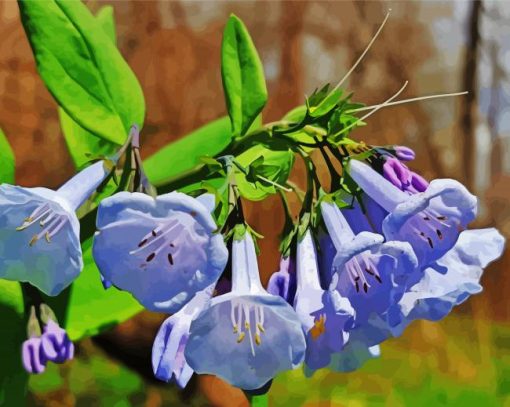 Bluebells Flowers Paint By Number