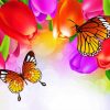 Butterfly With Colorful Tulips Paint By Number