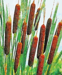 Cattail In Lake Paint By Number