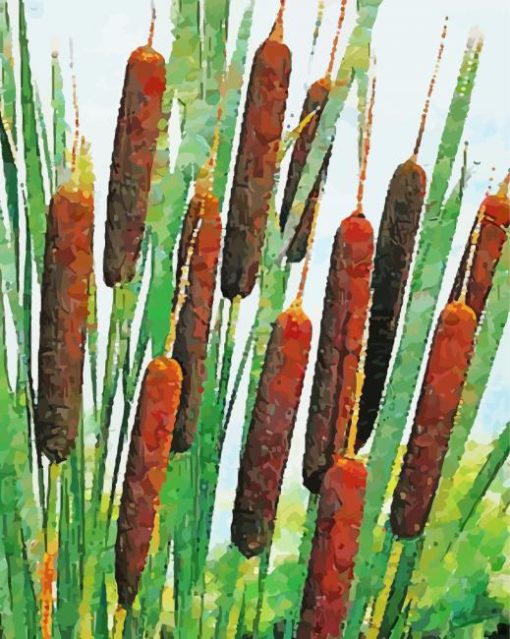 Cattail In Lake Paint By Number