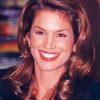 Cindy Crawford Paint By Number