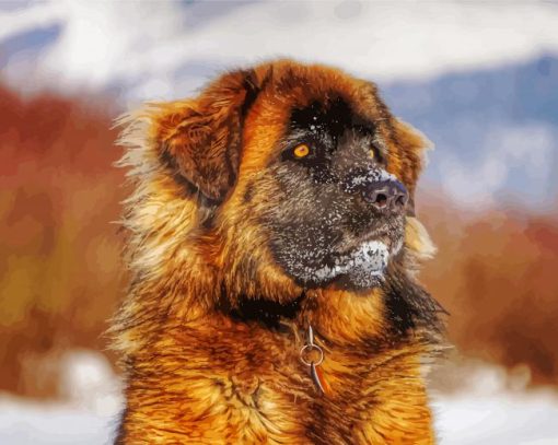 Close Up Leonberger Paint By Number