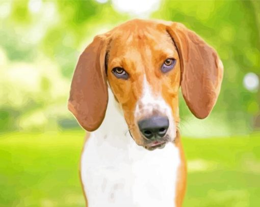 American Foxhound Paint By Number