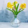 Daffodils In Glass Vase Paint By Number