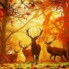 Deers Forest Paint By Number