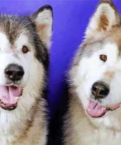 Dog Husky Couple Paint By Number