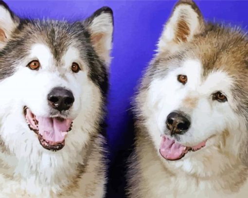 Dog Husky Couple Paint By Number