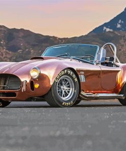 Ford Shelby Cobra Car Paint By Number