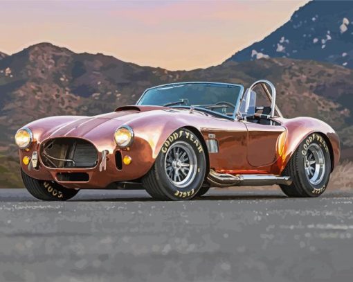 Ford Shelby Cobra Car Paint By Number