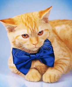 Ginger Cat With Bow Tie Paint By Number