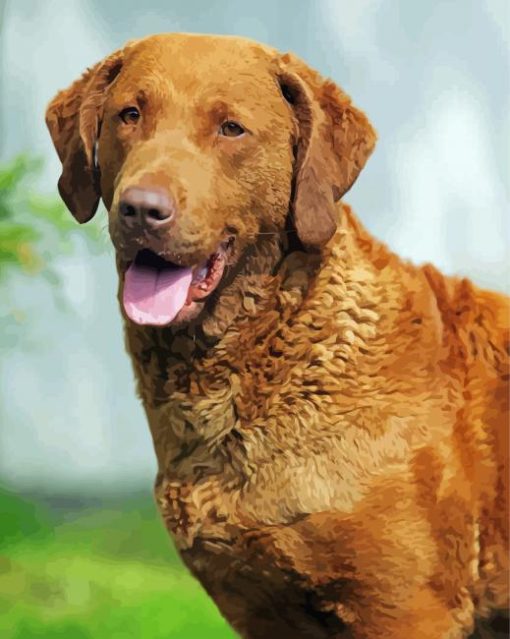 Golden Chesapeake Puppy Paint By Number