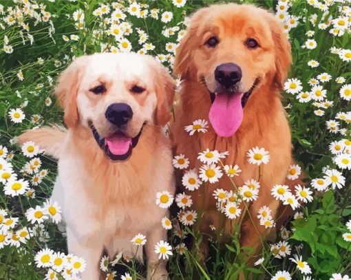 Golden Retriever in Daisies Paint By Number