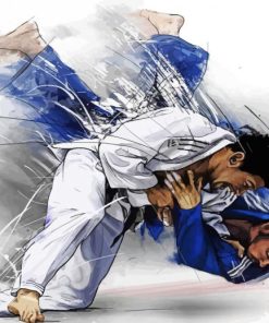 Jiu Jitsu Fight Paint By Number