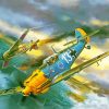 Military Messerschmitt BF 109 Paint By Number