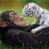 Monkey And White Tiger Paint By Number