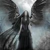 Moonlight Black Angel Paint By Number