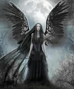 Moonlight Black Angel Paint By Number