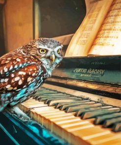 Owl Bird Playing Piano Paint By Number