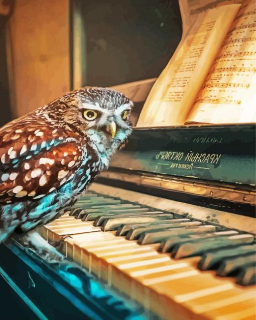 Owl Bird Playing Piano Paint By Number