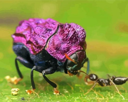 Purple Beetle And Ant Paint By Number