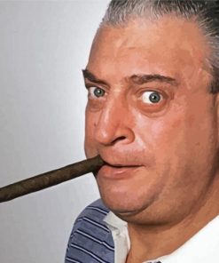 Rodney Dangerfield Paint By Number