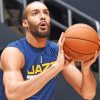 Rudy Gobert Basketballer Paint By Number