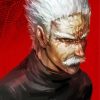 Silver Fang Anime Character Paint By Number