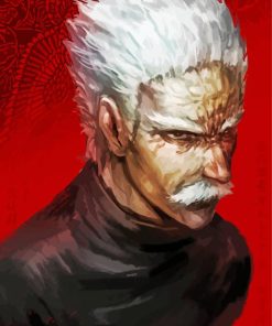 Silver Fang Anime Character Paint By Number