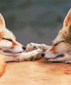 Sleepy Fox Couple Paint By Number